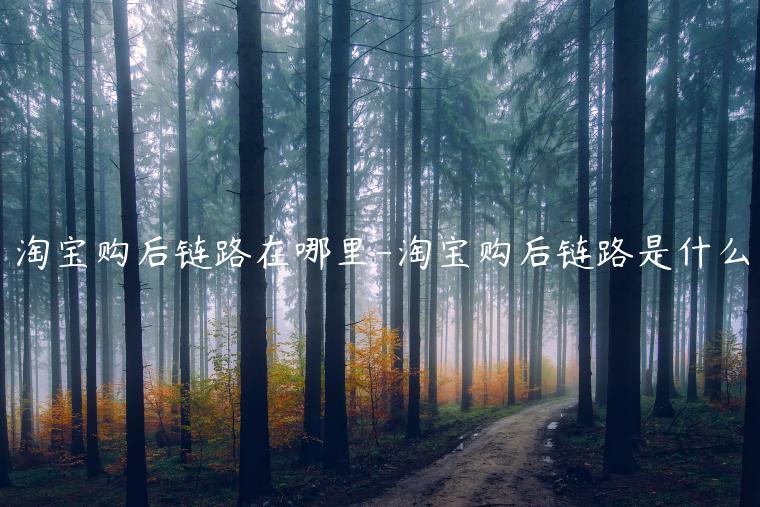 淘寶購(gòu)后鏈路在哪里-淘寶購(gòu)后鏈路是什么